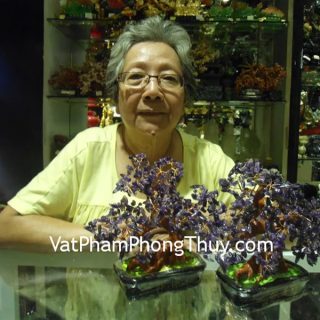 Cô Khanh - khách hàng mua cây tài lộc thạch anh tím HCA261