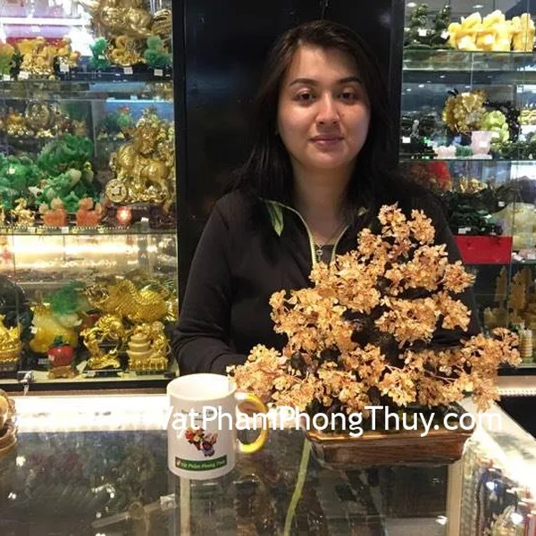 Chị Ngọc - Khách hàng mua Cây tài lộc kiểu mới pháo hoa thạch anh vàng (trung) KC068
