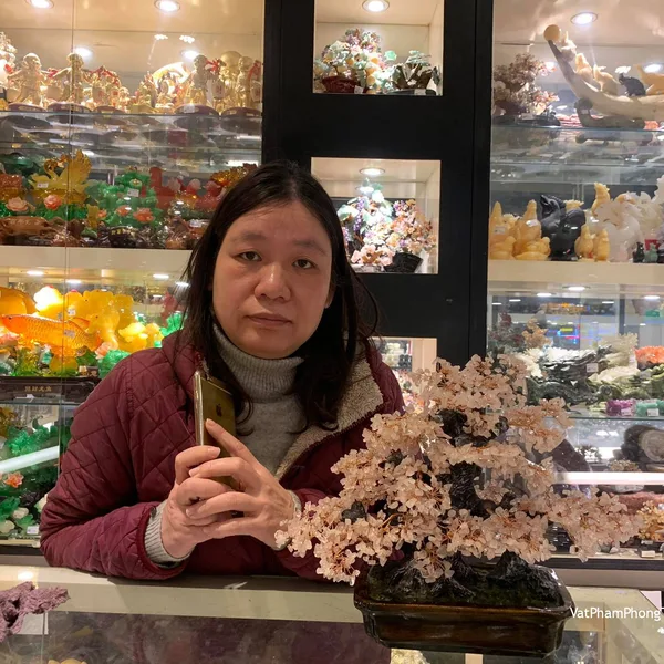 Chị Vân - Khách hàng mua Cây thạch anh hồng lớn KC109.