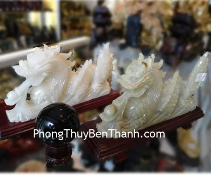 Rồng Cẩm thạch nằm  lớn FN076