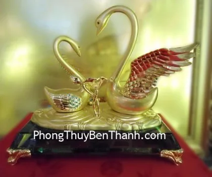 Chim thiên nga bách niên bảo hợp vàng,đế thủy tinh FY288
