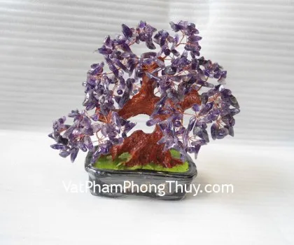 Cây thạch anh tím trung HCA261