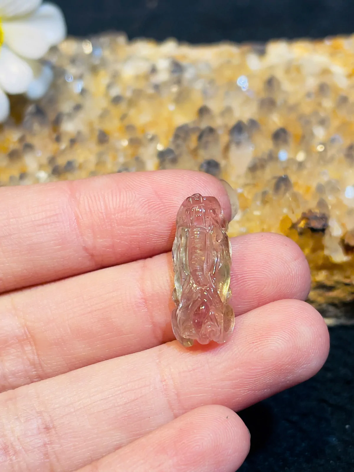 Tỳ hưu Ruby GCN 51084026229 S6287-229