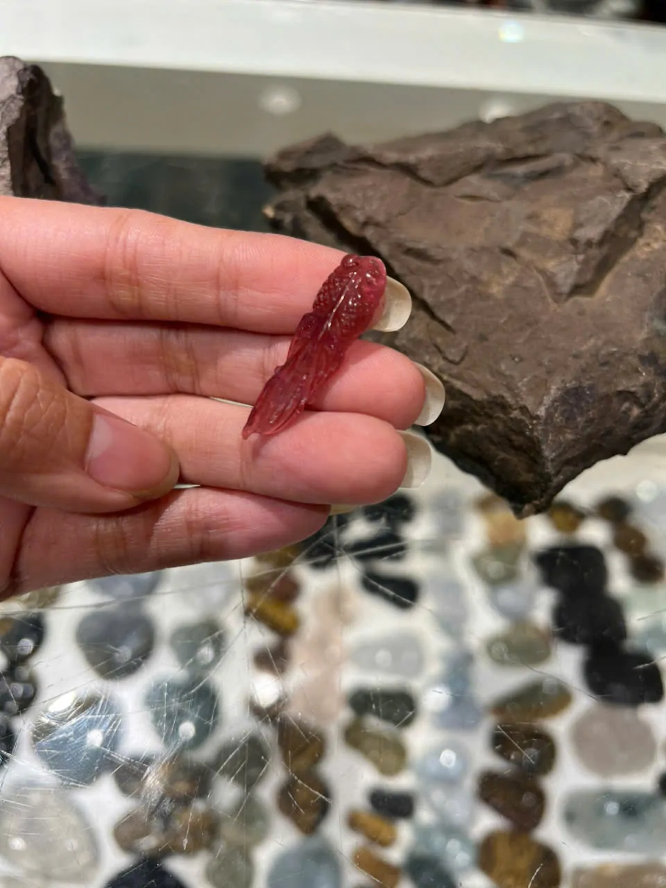 Cá chép Ruby Tourmaline GCN 687 (2.4gr) S6730-S1-7560